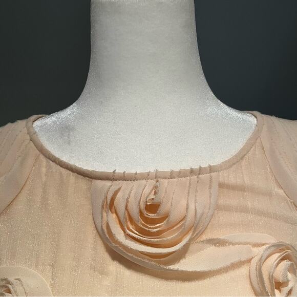 BARASCHI x Anthro Raw Edged Organza Rosette Coastal Preppy Shimmer Boho Top XS - Picture 11 of 16